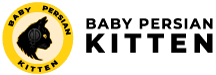 Baby Persian Kitten